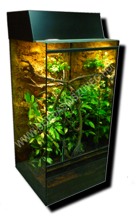 Berendezett terrárium