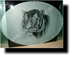 Tigris